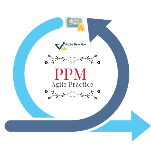 Professional Project Manager